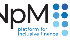 Logo NPM.PNG